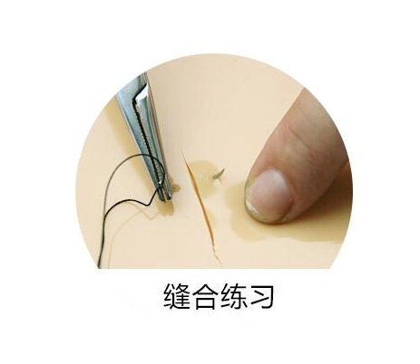 縫合練習矽膠模塊